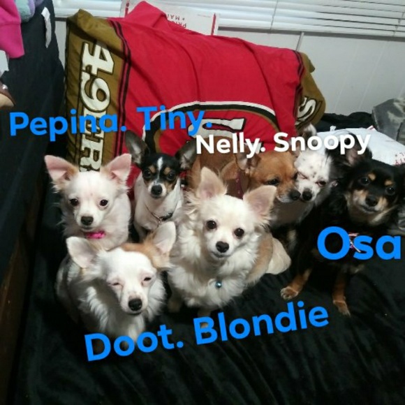 Please read before purchasing from Me🐾 - Picture 4 of 4